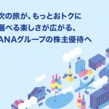 『ANA、株主優待が変わる!シンプル運賃割引やPeach国際線割引など追加』の画像