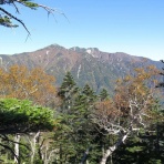 みー猫の山旅風景写真