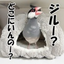 騒音問題、勃発中