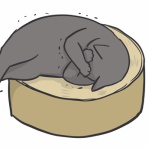 おそらくその平凡こそ幸せ　猫と私と家族の日常
