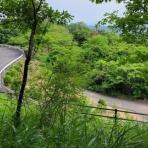 NEWSまとめもりー｜2chまとめブログ