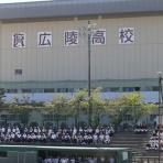 広島東洋カープまとめブログ | かーぷぶーん