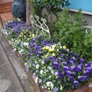 4/4と5日の外カダン