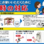 ＨＩＰＰＯ大野の雑記帳