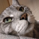 オヤジギャグで笑かす？