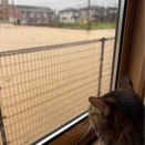 福井大雨