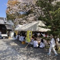 33日目　2025年４月6日（日）晴れ