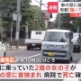 2歳女児、車の窓に首を挟まれ死亡　母親「騒いでいたから『静かにしなさい』とオートで後ろの窓を閉めた。しばらく走行すると静かになっていたから、後ろを確認したら…」