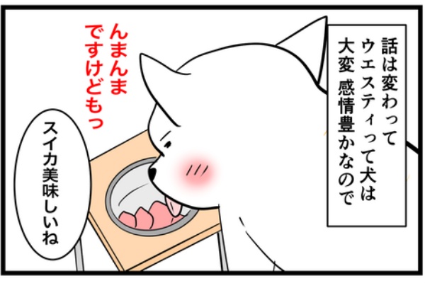 ちーちゃんっ🐾 - 犬あるある