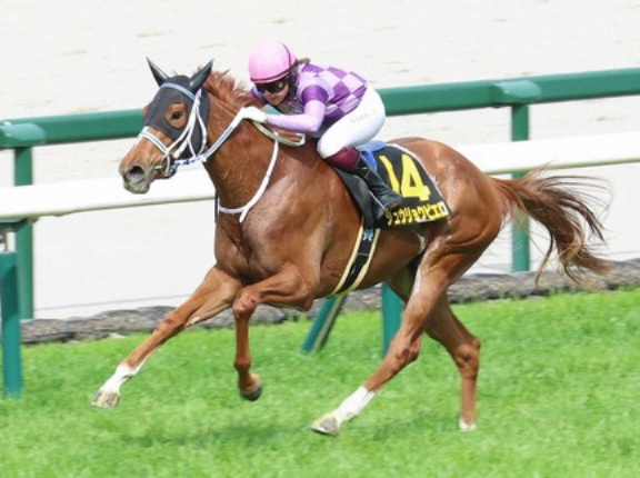 寺島調教師発表！「ジュウリョクピエロは今村でオークスへ向かう！」