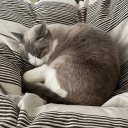 ��̲��­�⤢�뤱��ǭ�����������礭���ƻŻ��˼¤�����󤫤ä�(���")��