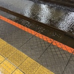 きんぴらの世迷言