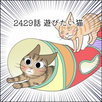 あんこ＆麦2429 遊びたかったのは