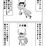 まだ間に合う？うす～くワールドカップの予備知識