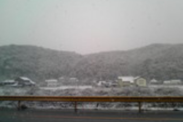 かさぶた たぶたぶ