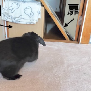 ぶ〜に〜の暮らし