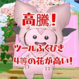 『高騰！ツールふくびき４等の花が高い！』の画像