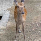 さぁ、夏がきたよ！　みんなは何をする？
