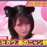 『[イコラブ] 舞香ちゃん、春のニャン祭り需要しかない』の画像