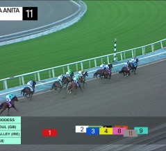10位　ナイセストの2024(ジェットシェヴロン)