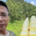【食品】中国産タケノコから基準値24倍の二酸化硫黄を検出…人気配信者の告発で注目集まる