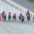 8/8 川崎 翡翠賞ダ1500m【ボールドポリシー《3戦目》】