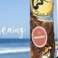 水陸両用アンダーウェア『Seaing』