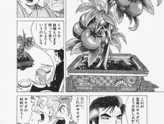 【野菜】なんだよこの漫画ｗｗｗ【注意】