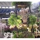 スポーツ選手もビジネスマンも多芸に秀でた人が活躍する！