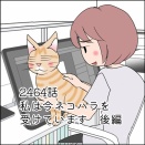 あんこ＆麦2465 私は今ネコハラを受けています後編