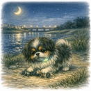 光る首輪かな！？