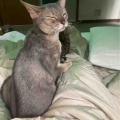 美味しいお肉とグレイトフルデッドな赤ワイン