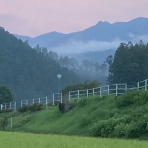  松阪市議会議員    海住恒幸 ブログ