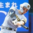 トロント・ブルージェイズ、覚醒　鈴木誠也と佐藤輝明をガチのマジで両取りへ