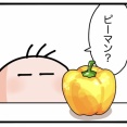 ぽんちゃんパプリカを覚える