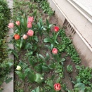 ◆プール◆お泊まり会