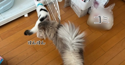 村尾と白駒という組み合わせ