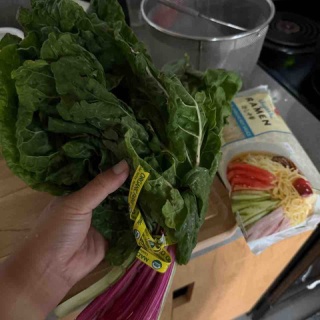 ハワイネコ ブログ