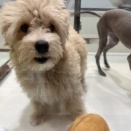 こんにちは