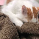 報われるということ