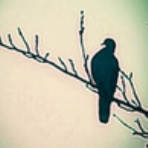 中小企業診断士 鷺山はるこのブログ「Si.Eccolo(スィ，エッコロ)」