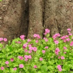 勝又壽良のワールドビュー