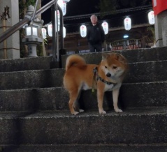新年のご挨拶!