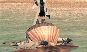 でかすぎる真珠貝