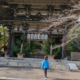 『2020年行動開始!』の画像