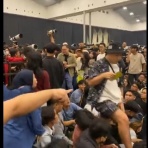 ハムスター速報