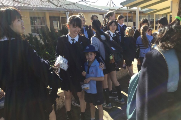 中央大学杉並高等学校 53期 17