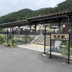 ディスカスの逍遥日誌