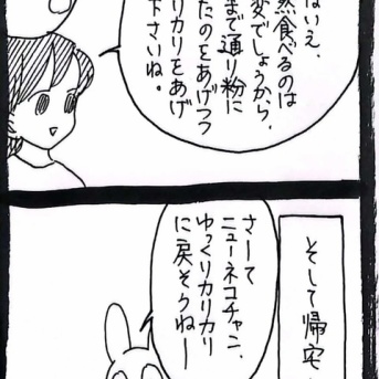 ﾆｭｰﾈｺﾁｬﾝお病気物語16