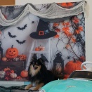 【店内わんこOK】.DANAさんでハロウイン